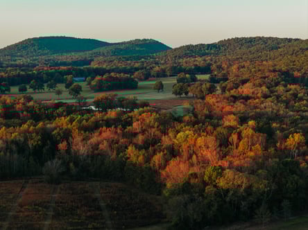 Pursell - Aerial-024 Pursell - Aerial-024