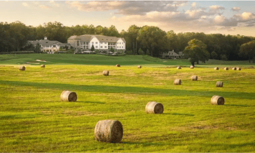 Rustic Pursell Farms